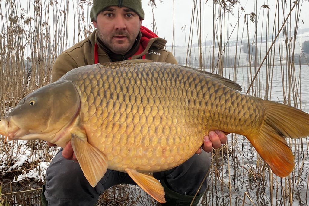 16kg-schuppenkarpfen-aus-dem-irrsee