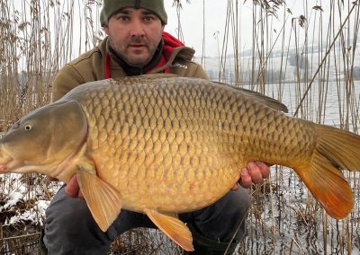 16kg-schuppenkarpfen-aus-dem-irrsee