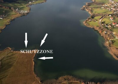 schutzzone-für-laichende-zander-am-irrsee-2016-bild-03