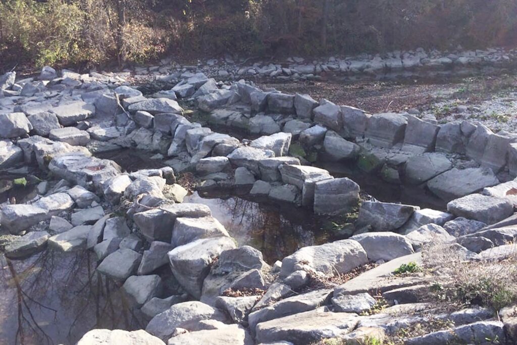 wasserkraft-wenn-künstliche-fluten-flussbewohner-stressen-2016