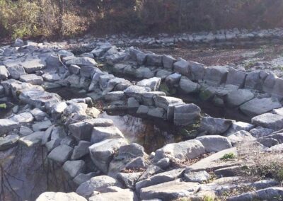 wasserkraft-wenn-künstliche-fluten-flussbewohner-stressen-2016