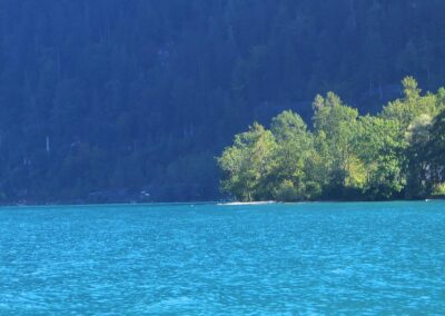 der-attersee-bild-06