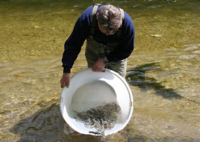 der-genetische-unterschied-zwischen-wild-und-zuchtfischen-bild-02