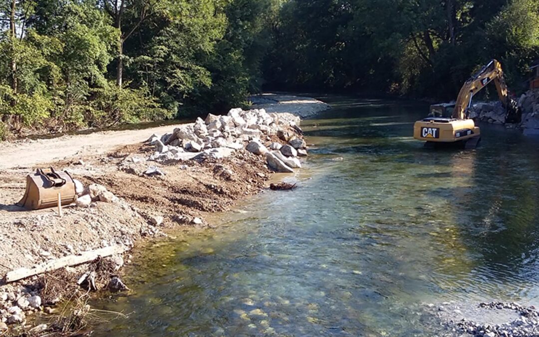 Die unterschätzte Schädigung von Kleinlebewesen durch Verschlammung