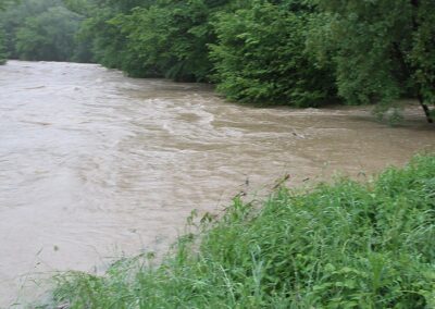 forellen-und-äschen-als-besatzfische-und-ihr-überleben-in-degradierten-flusslandschaften-teil-1-bild-04