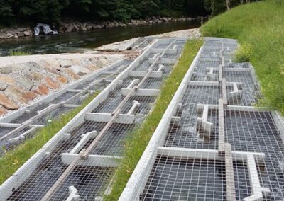 forellen-und-äschen-als-besatzfische-und-ihr-überleben-in-degradierten-flusslandschaften-teil--bild-02