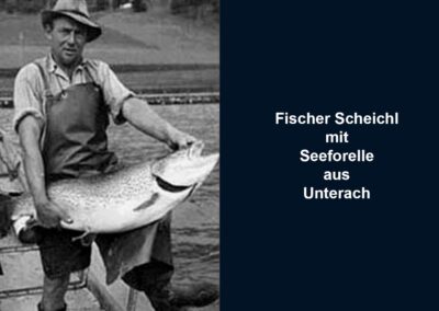 geschichte-der-fischereiwirtschaft-am-attersee-bild-04