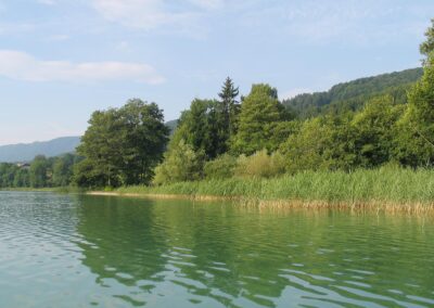 karpfenfischen-am-irrsee-bild-02