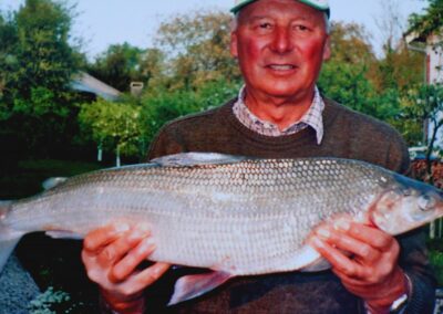 renkenfischen-am-attersee-bild-05