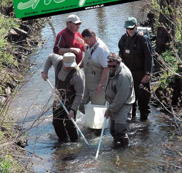 SAB Journal 2004-Q2