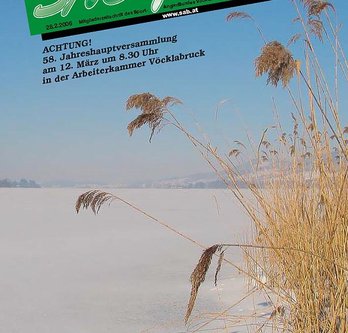 SAB Journal 2006-Q1