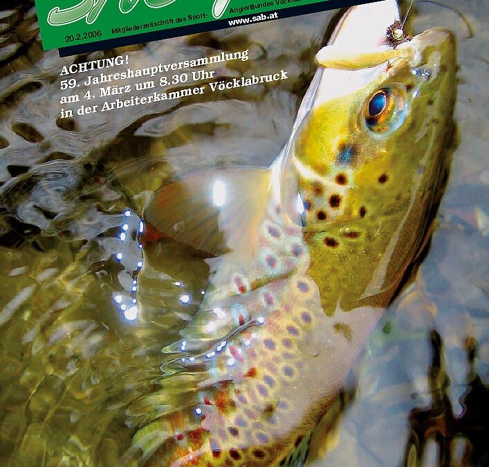 SAB Journal 2007-Q1