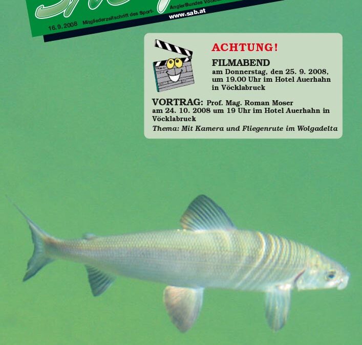 SAB Journal 2008-Q3