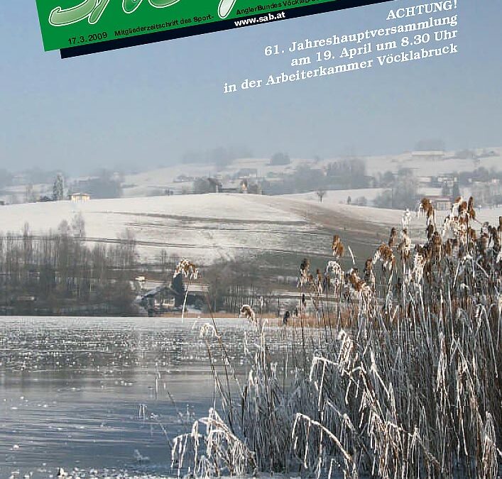 SAB Journal 2009-Q1