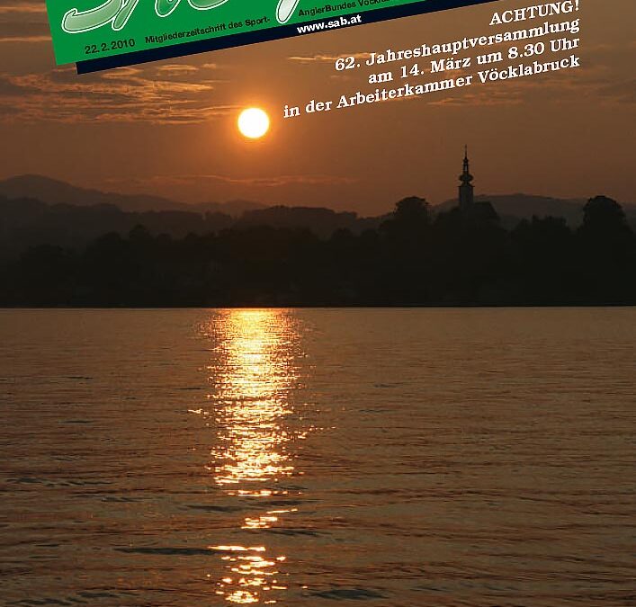 SAB Journal 2010-Q1