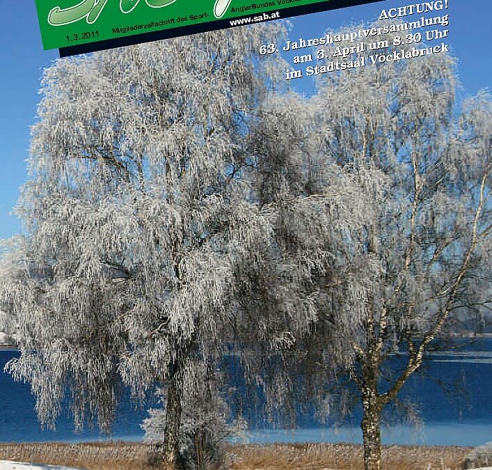 SAB Journal 2011-Q1