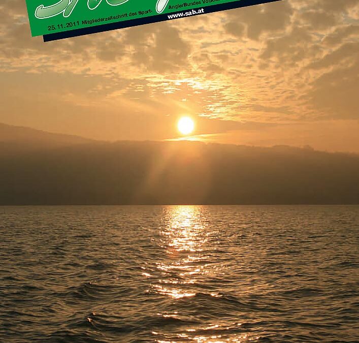 SAB Journal 2011-Q4