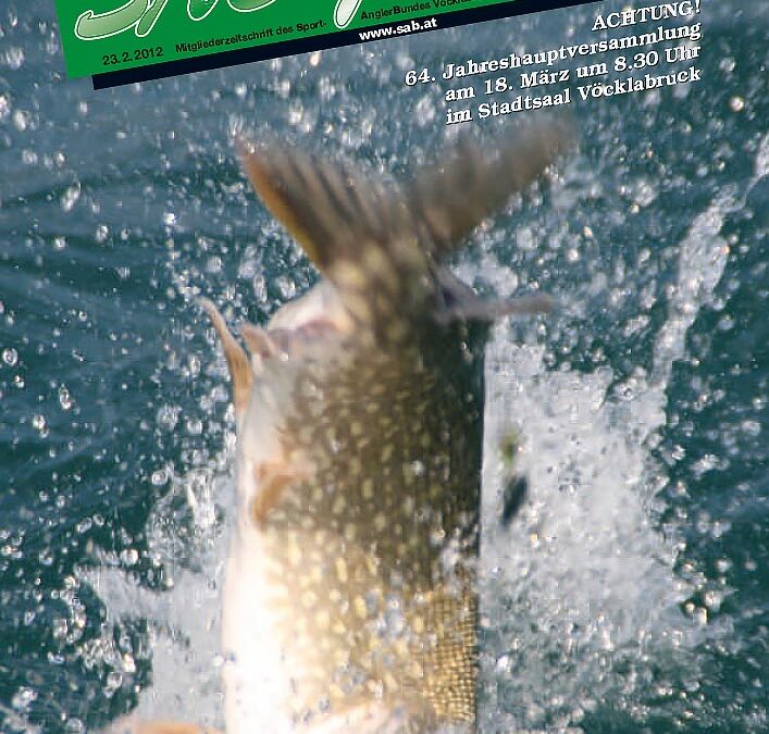 SAB Journal 2012-Q1