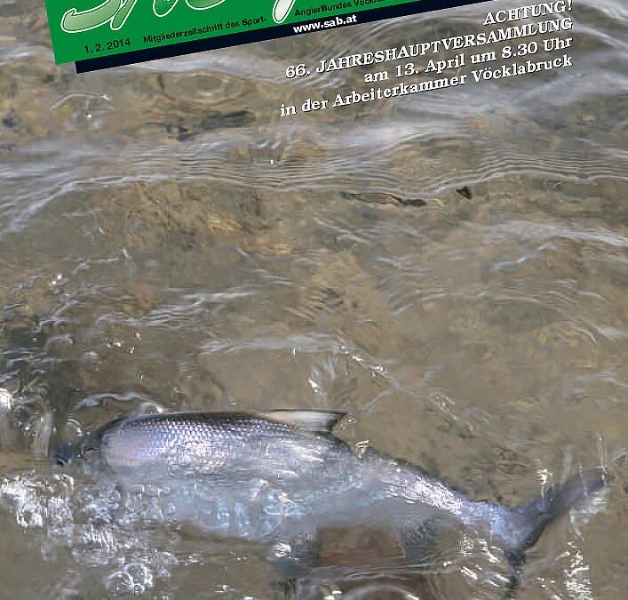 SAB Journal 2014-Q1