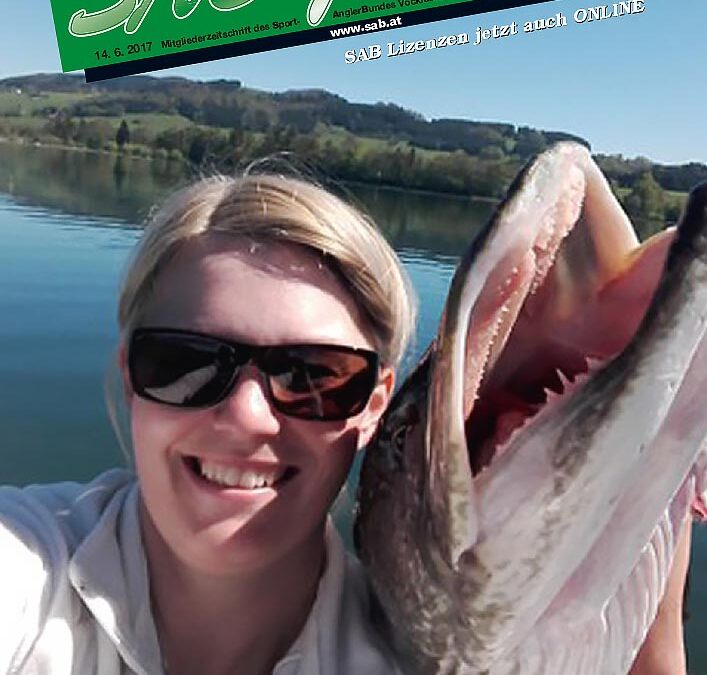 SAB Journal 2017-Q2