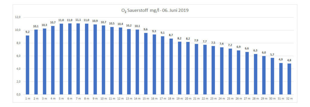 sauerstoff-06-juni-2019