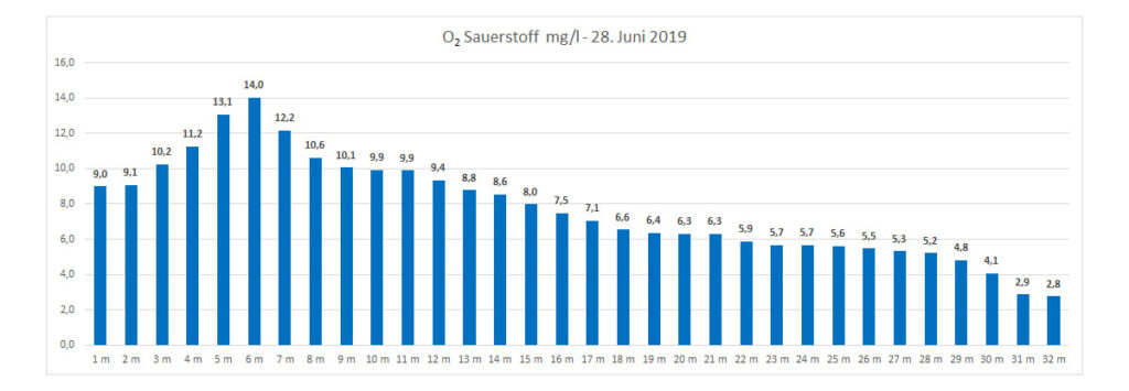 sauerstoff-28-juni-2019