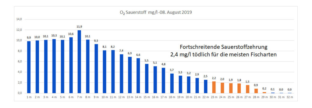 sauerstoff-08-august-2019