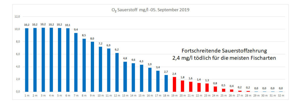 sauerstoff-05-september-2019