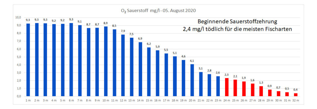 sauerstoff-05-august-2020