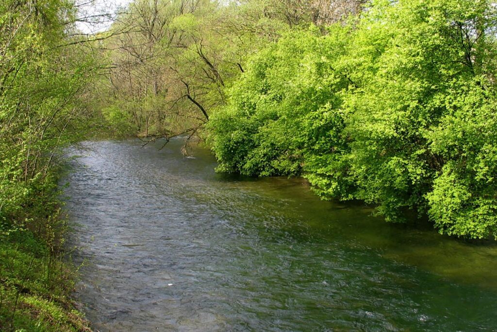 jahreslizenzen-für-die-ager-vöcklabruck-für-2020-ausverkauft