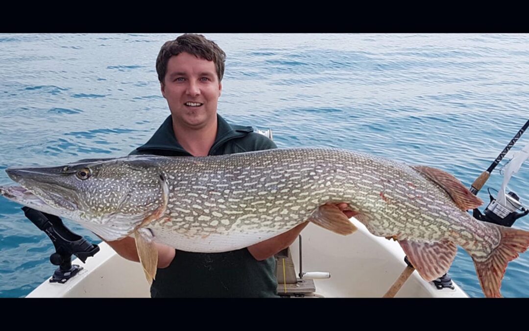 15 kg Hecht aus dem Attersee 2018