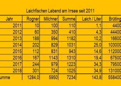 laichfischen-auf-maränen-2018-bild-19