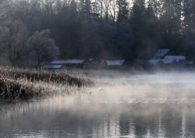 laichfischen-auf-maränen-2019-bild-02