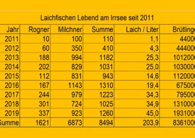 laichfischen-auf-maränen-2019-bild-21