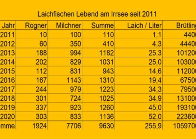 laichfischen-auf-maränen-2020-bild-20