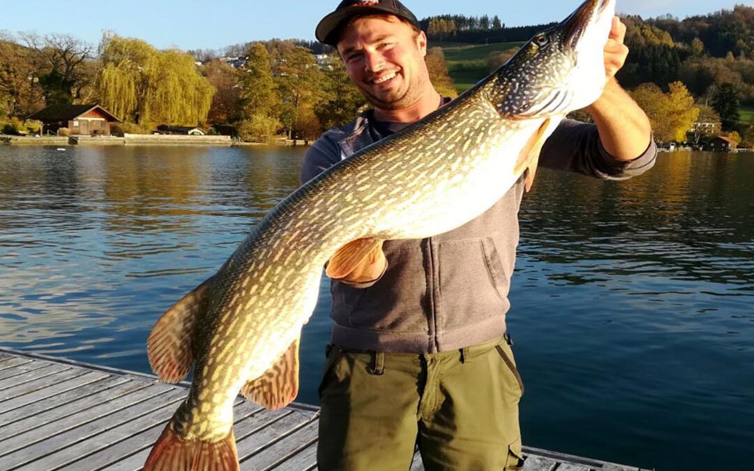 Kapitaler Herbsthecht aus dem Attersee 2018