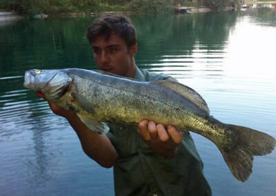 zander-baggersee-2012