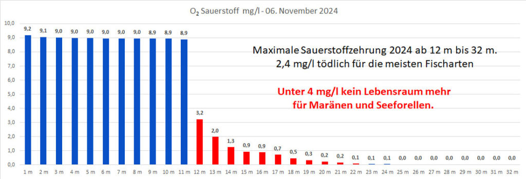 sauerstoff-06-november-2024