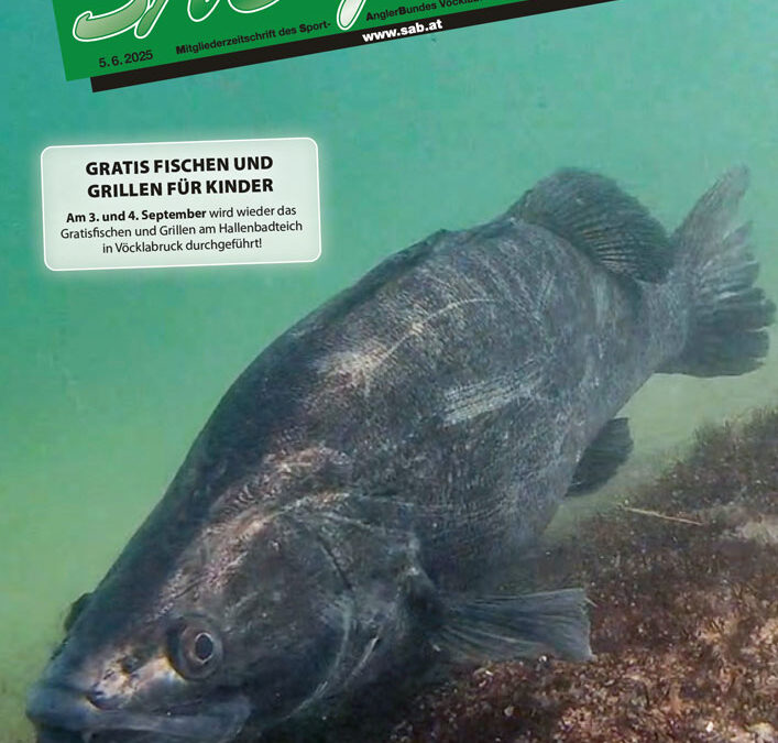 SAB Journal 2025-Q2