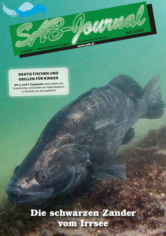 sab-journal-2025-2