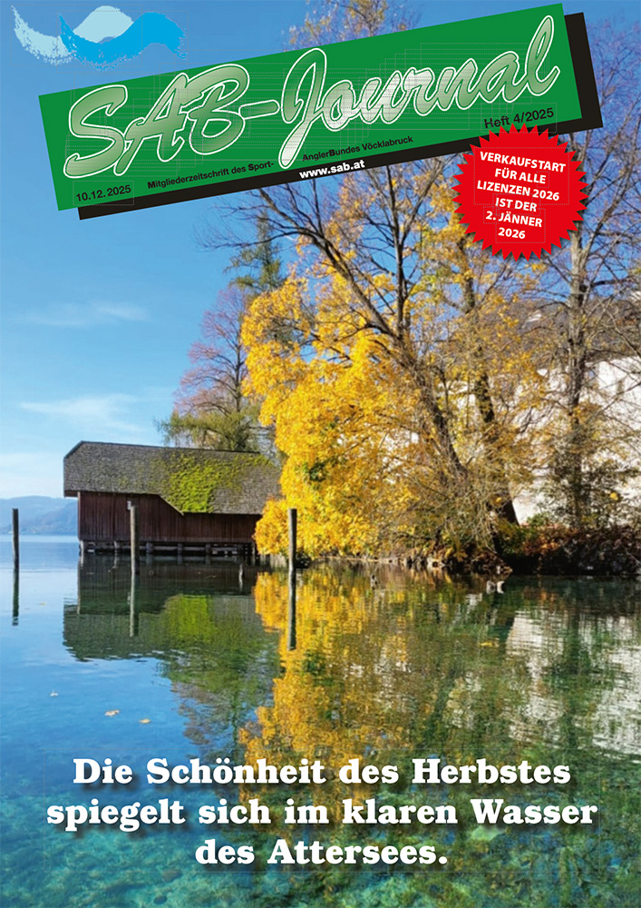 sab-journal-2025-4 sab-journal-2025-2