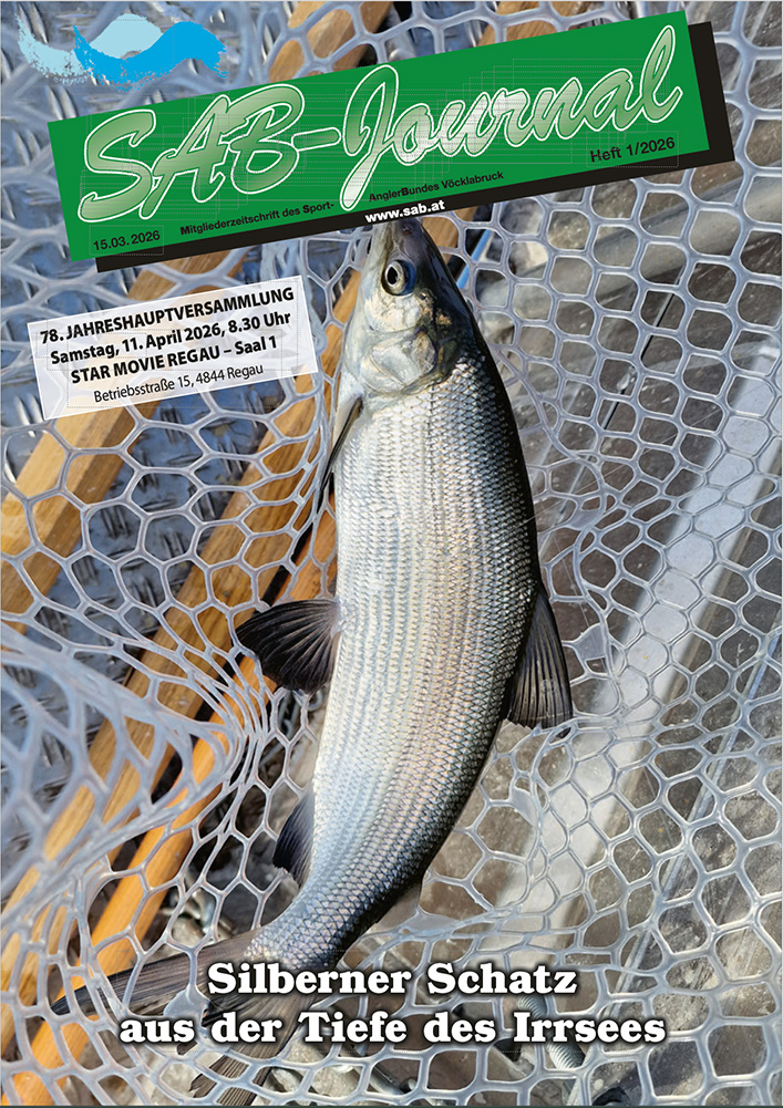 SAB-Journal-2026-1 sab-journal-2026-1