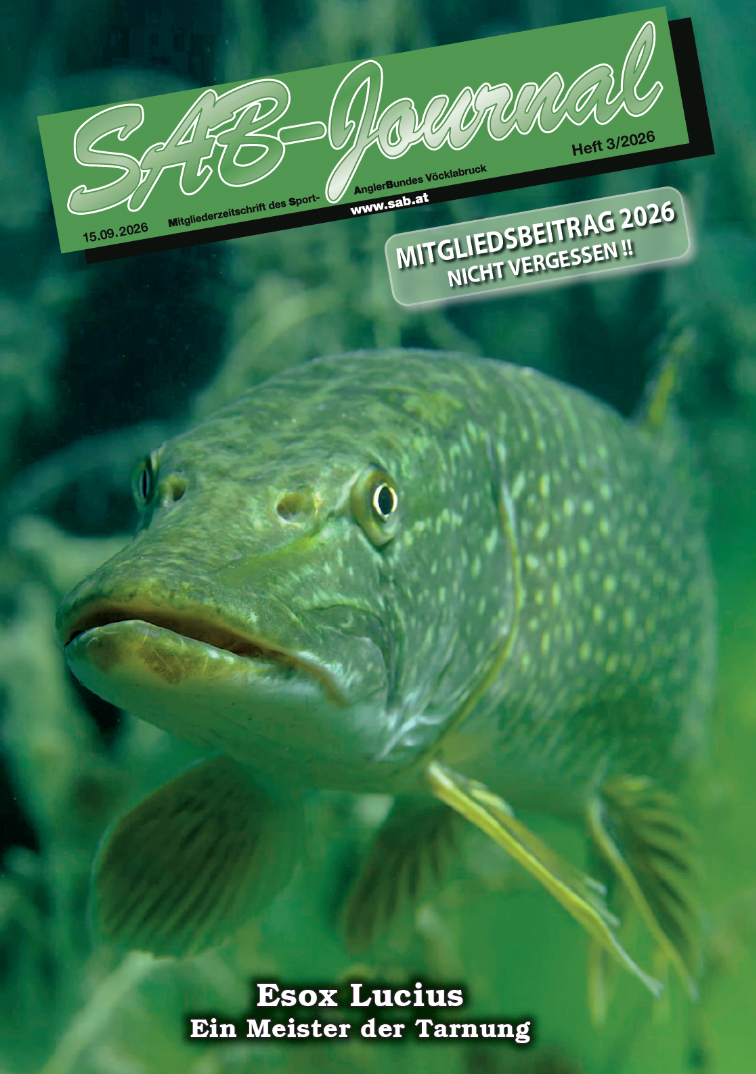 sab-journal-2026-3 sab-journal-2026-2